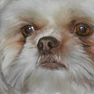 Meet your Posher, Theresa